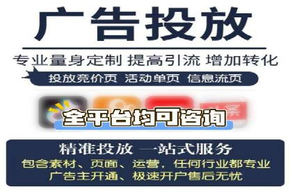 高效SEM托管公司案例对比分析